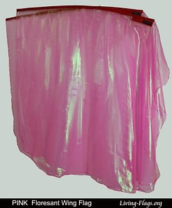 wxlq-fshogz-pink (6) - JPG